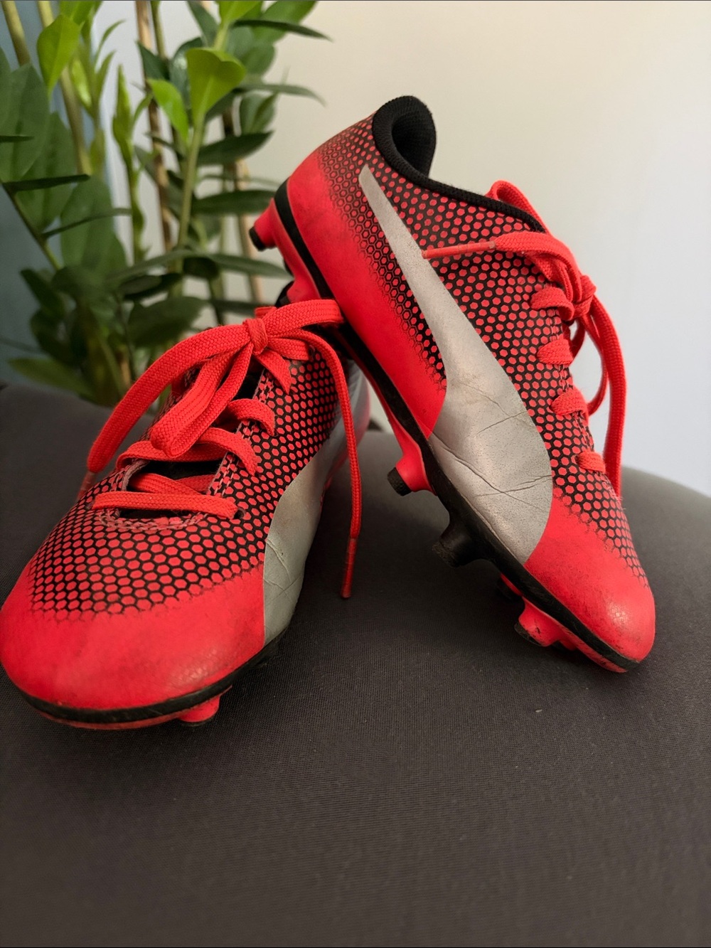 Puma Kids' Soccer Cleats